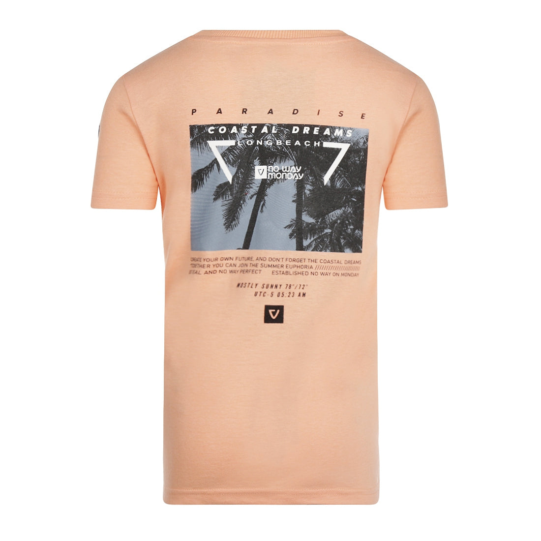 T-shirt ss (R50254-1)