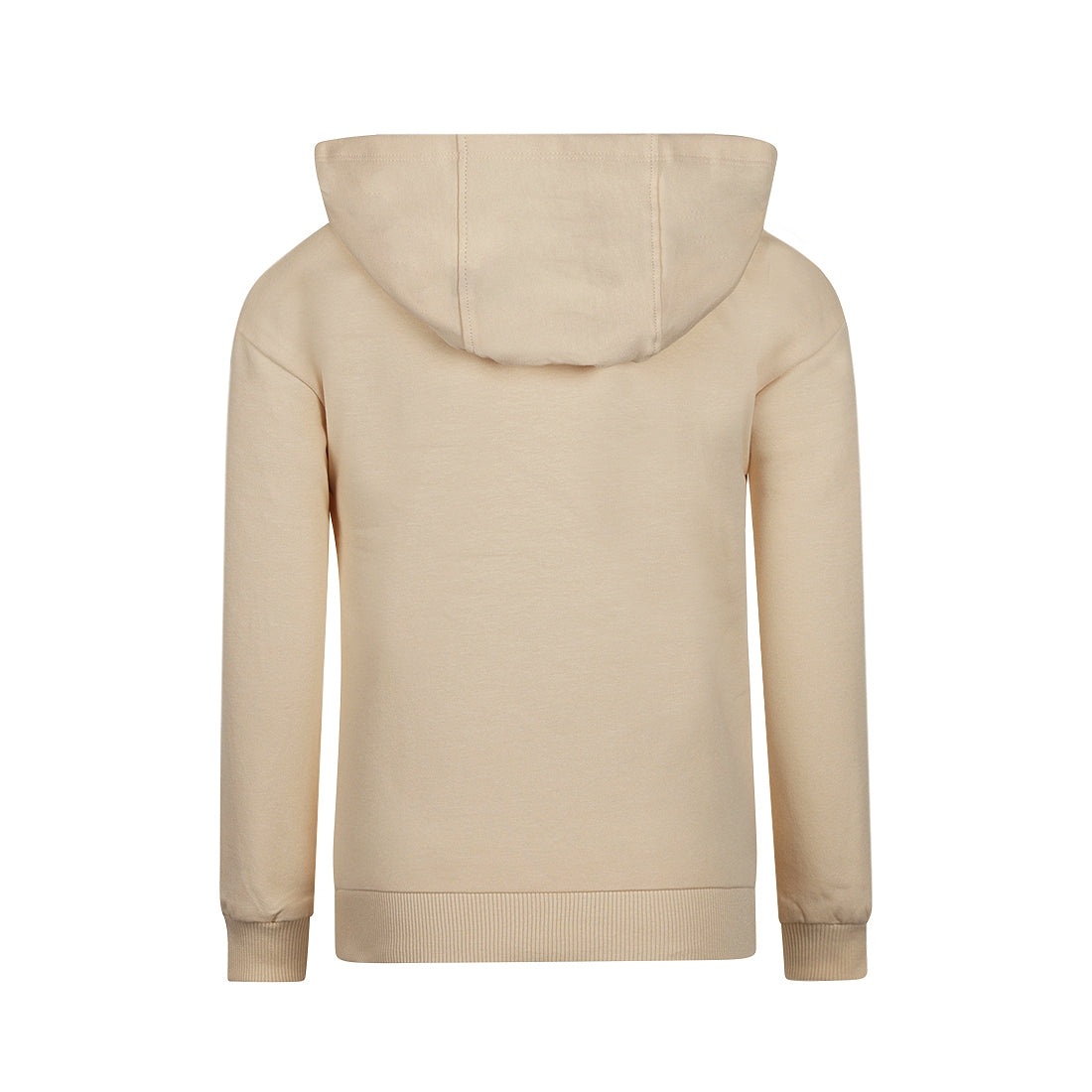 Sweater with hood dropped shoulder (P54992-37)