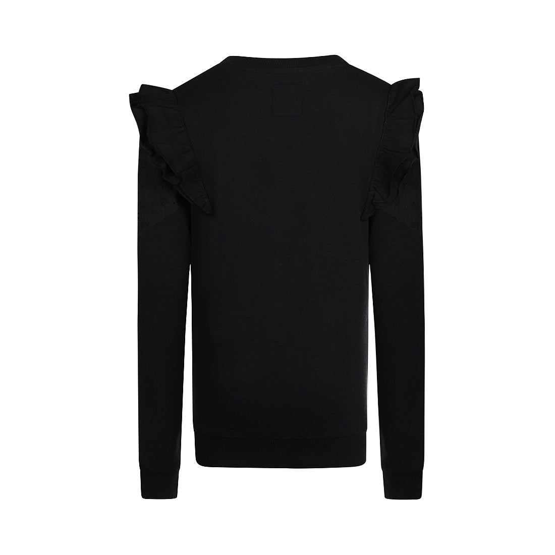 Sweater with crewneck (Q52065-1)